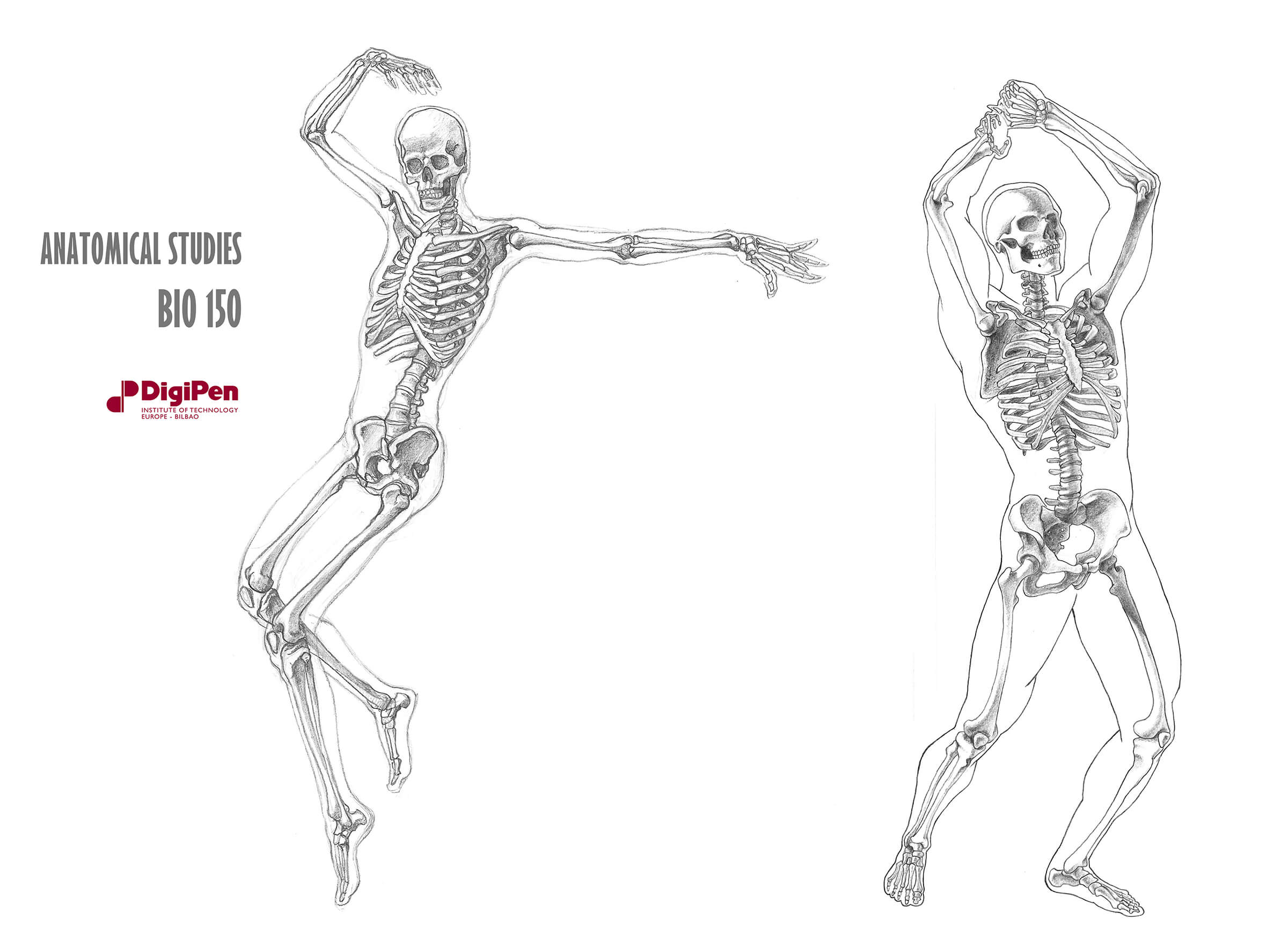 Black-and-white anatomical sketches of two human skeletons, one in a dancing pose, the other pantomiming lifting an ax.