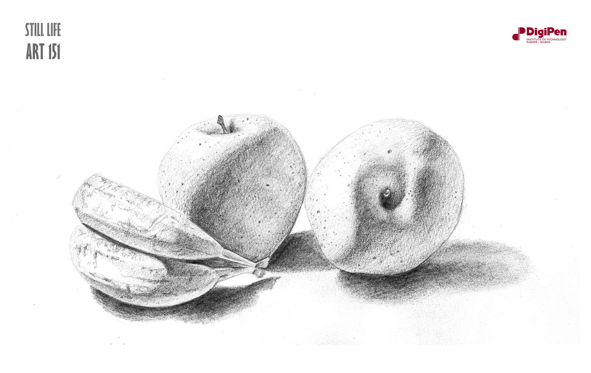 Black-and-white drawing of a pair of bananas turned on its side next to two apples. The fruit is lit from the left.