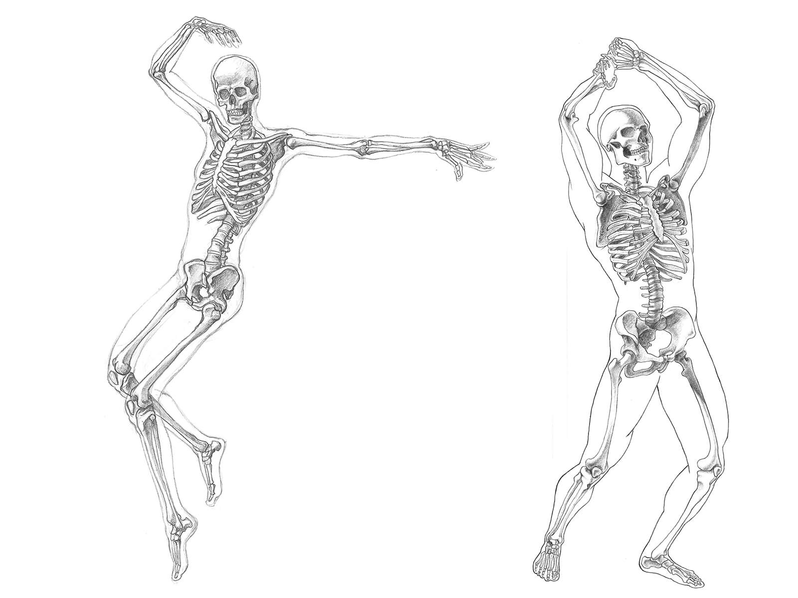 Bocetos anatómicos en blanco y negro de dos esqueletos humanos, uno en una pose de baile y el otro haciendo la pantomima de levantar un hacha.