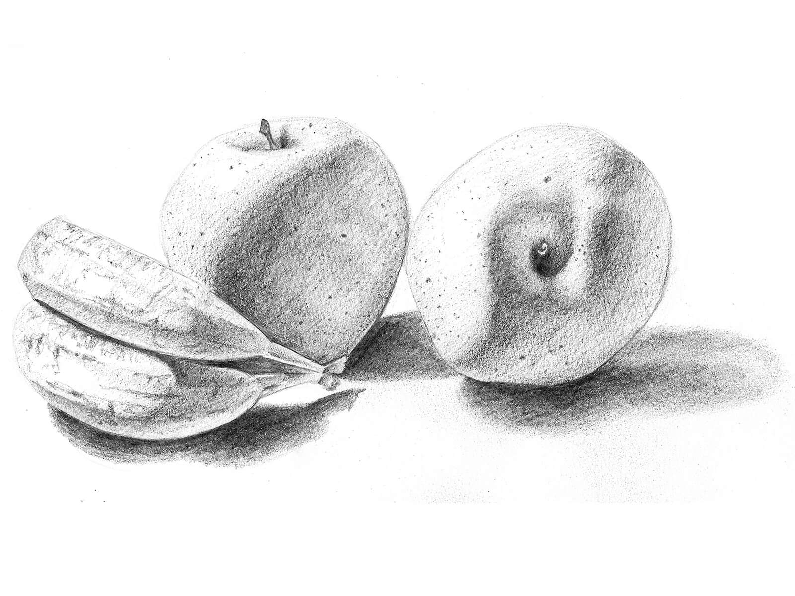 Dibujo en blanco y negro de un par de plátanos volteados de lado junto a dos manzanas. La fruta se ilumina desde la izquierda.