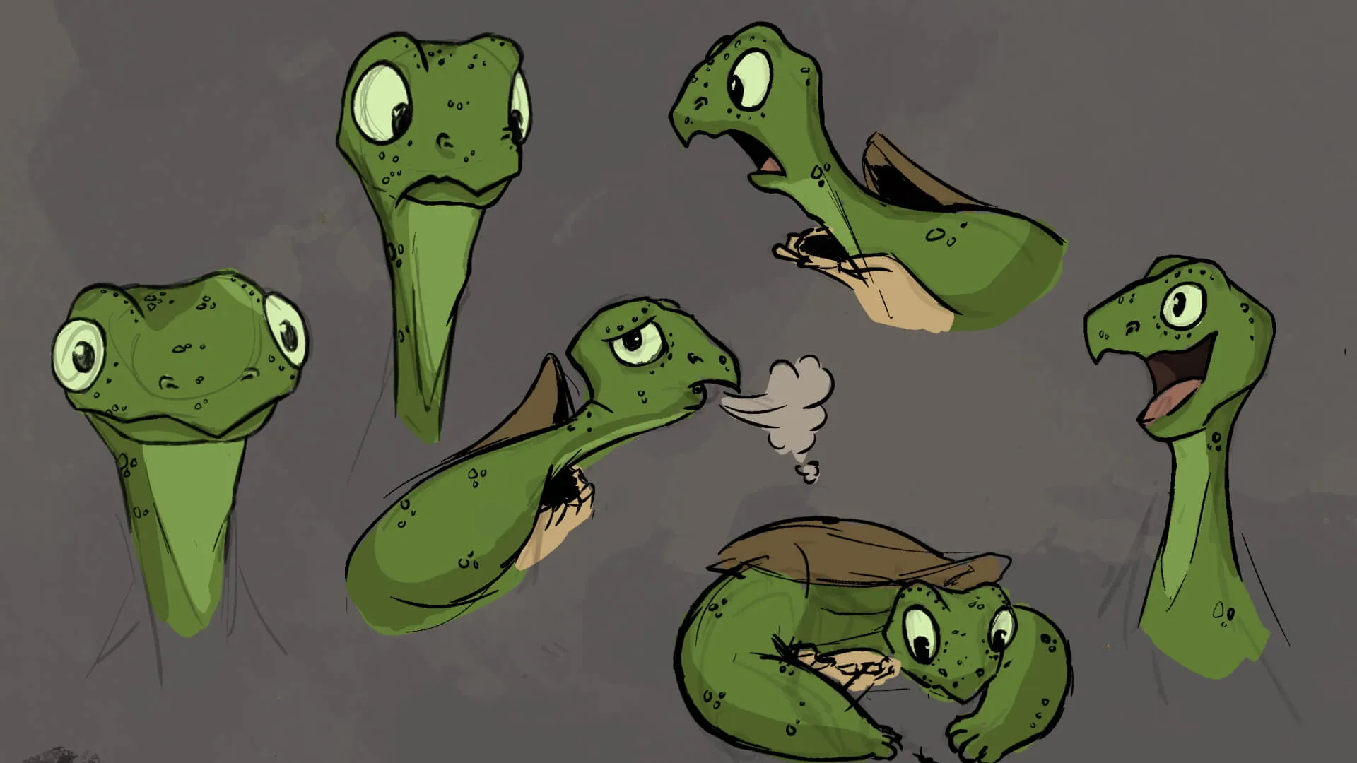 A detailed 3D model of a turtle-like character with a conical hat, shown in different textures and wireframes.