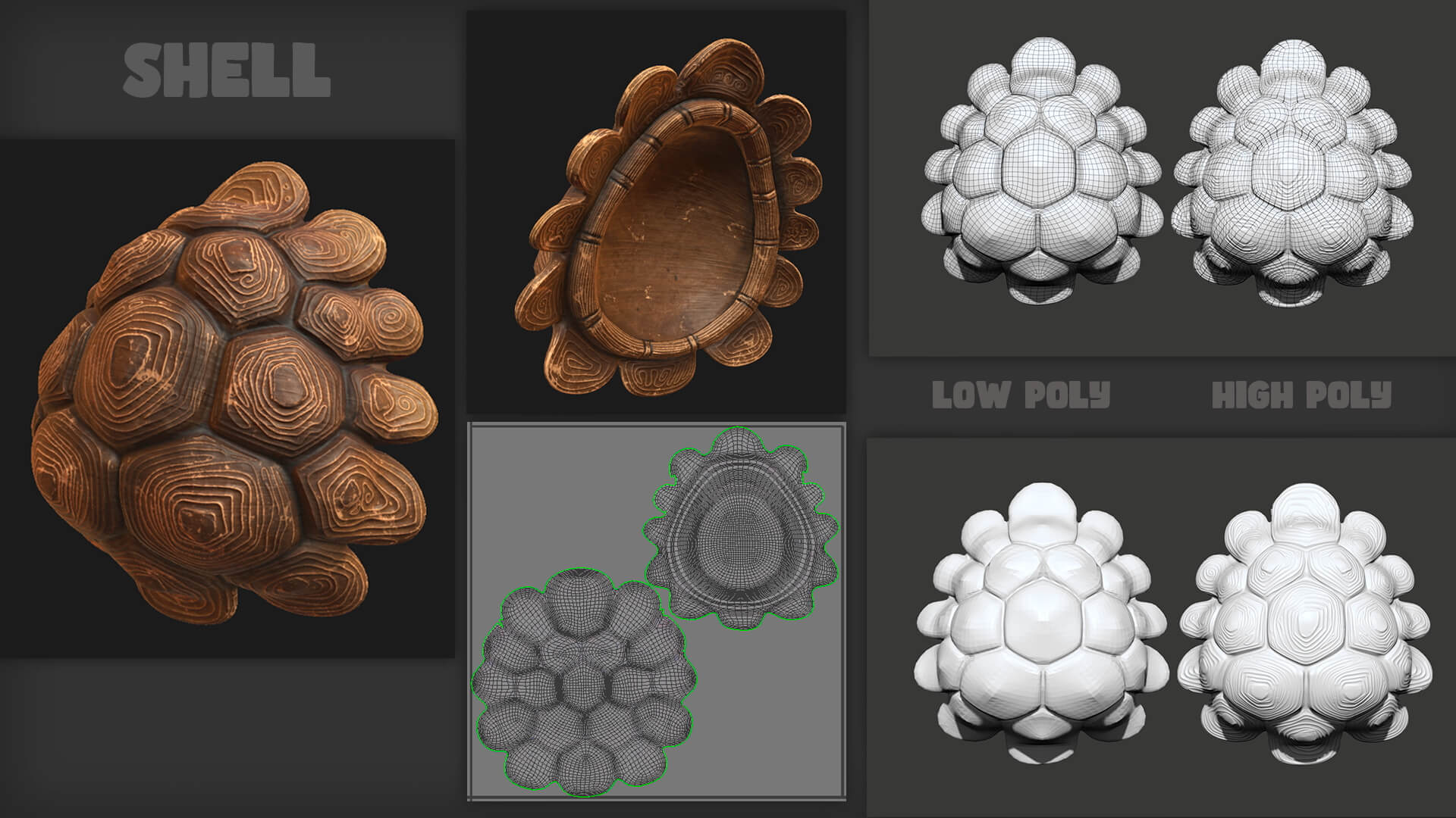 Various 3D renderings of a detailed turtle shell, showcasing low-poly and high-poly versions.