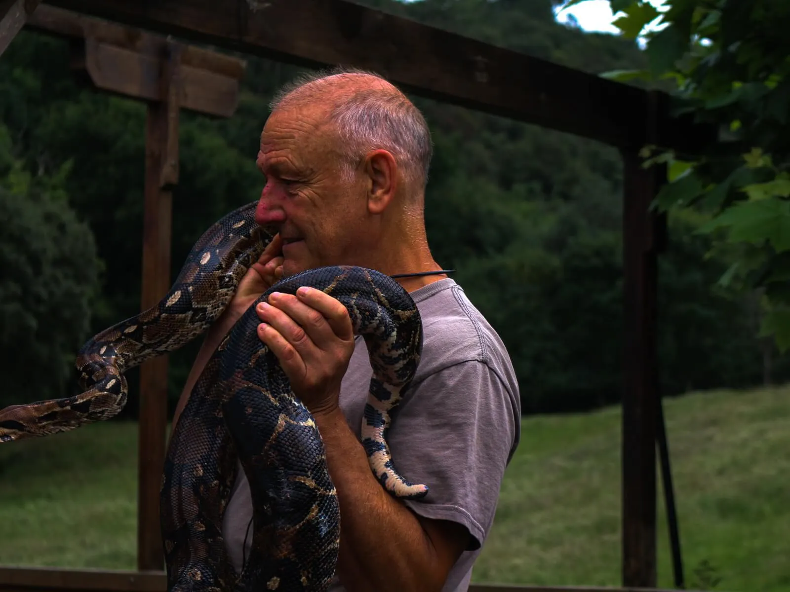 Snake held treated by guide, being shown to BFA students