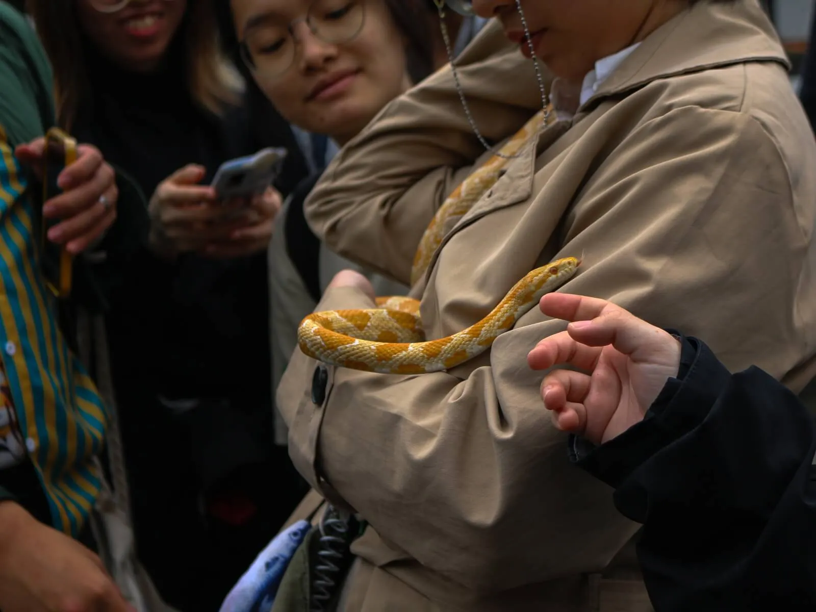 BFA students admire colors of of a snake resting on the chest of a student